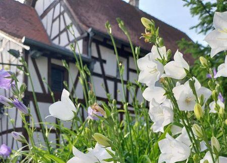 Mercredi à la campagne