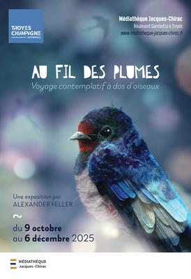 Exposition &quot;Au fil des plumes : Voyage contemplatif à dos d’oiseaux&quot; d'Alexander Feller