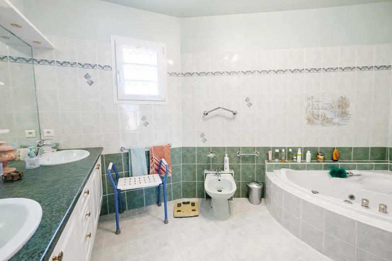 Viager - Propriété - 336 m² - 12 pièces