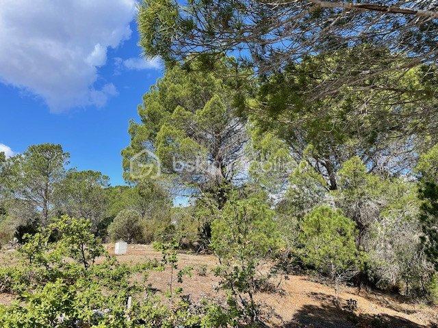 Terrain agricole - 6 375 m²