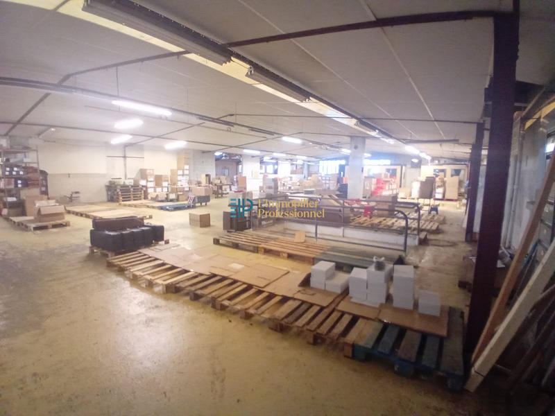 Local d'activités - 3 030 m²