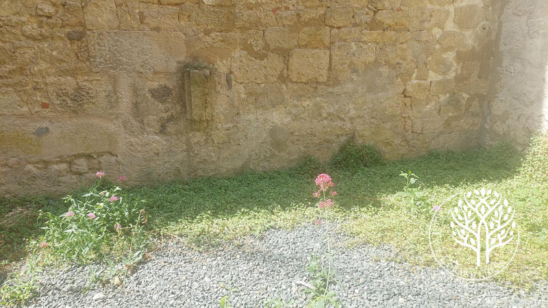 Maison ancienne - 95 m² - 5 pièces