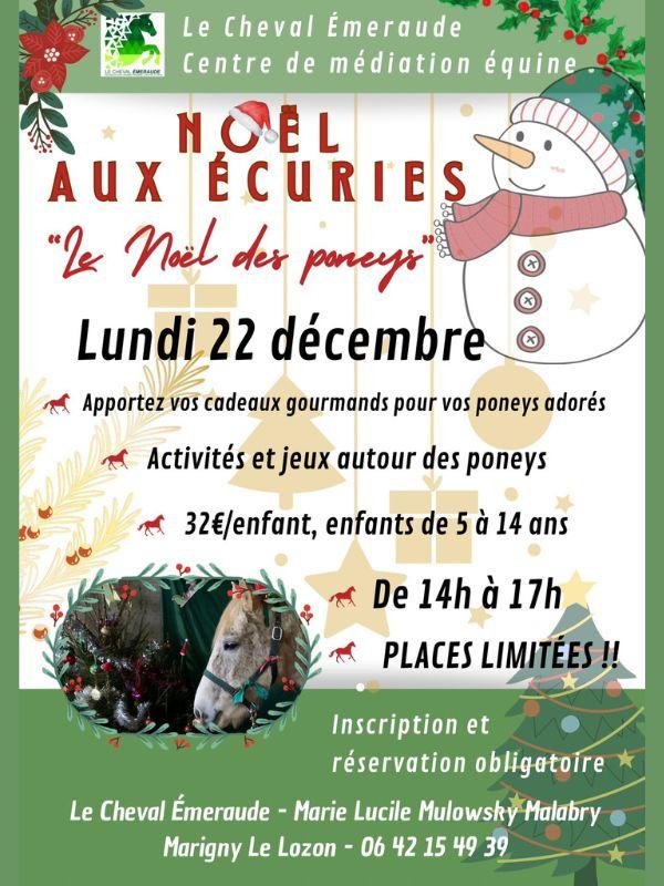 Noël aux écuries &gt; Cheval Emeraude