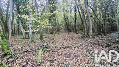 Terrain - 25 548 m²