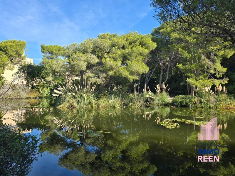 Appartement - 30 m² - 2 pièces