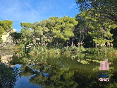 Appartement - 30 m² - 2 pièces