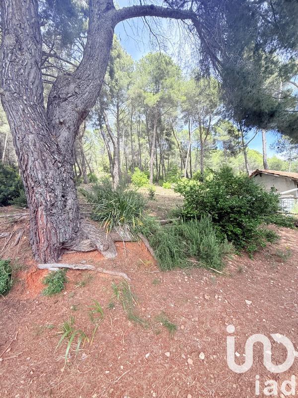 Maison - 206 m² - 7 pièces