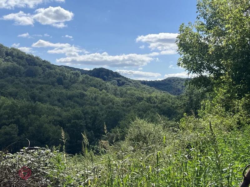 Propriété - 271 m² - 7 pièces