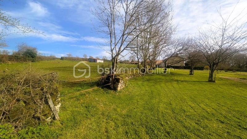 Maison en pierre - 110 m² - 6 pièces