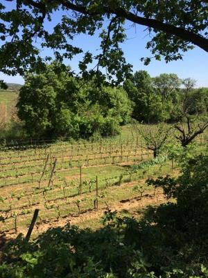 Terrain agricole - 27 000 m²