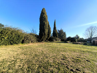 Terrain - 1 368 m²