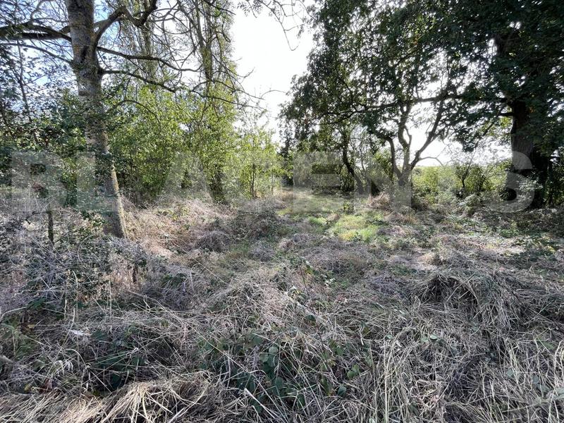 Maison ancienne - 95 m² - 4 pièces