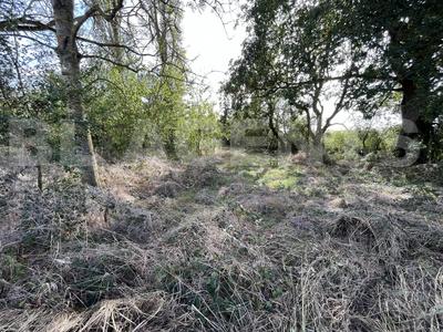 Maison ancienne - 95 m² - 4 pièces