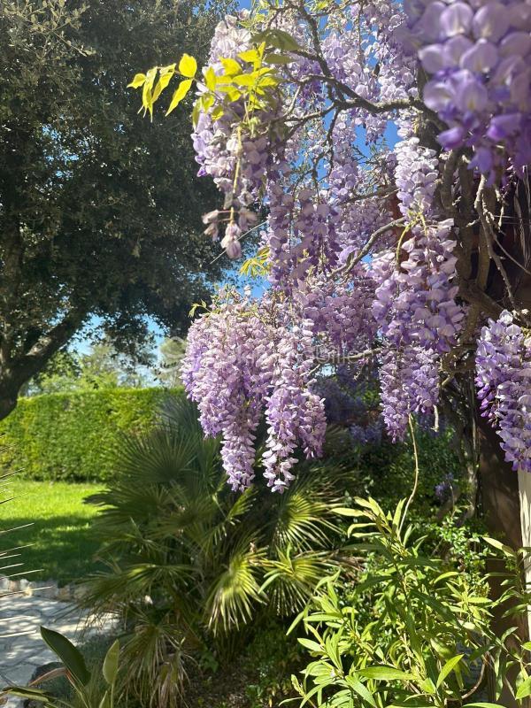 Villa - 133 m² - 5 pièces