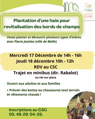 Plantation d'une haie