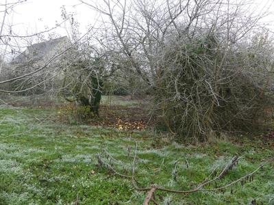 Terrain constructible - 766 m²