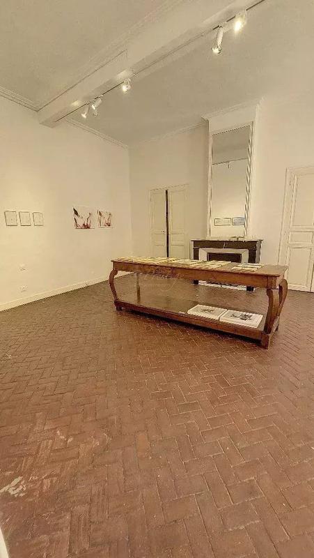 Hôtel particulier - 8 pièces