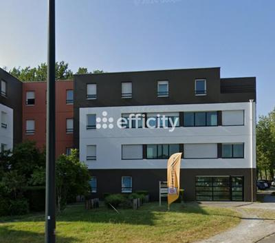 Studio - 19 m² - 1 pièce