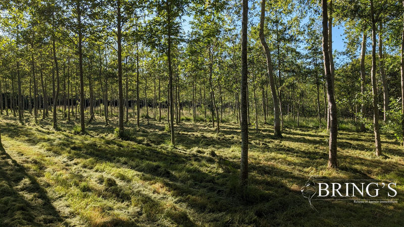 Terrain de loisirs - 47 800 m²