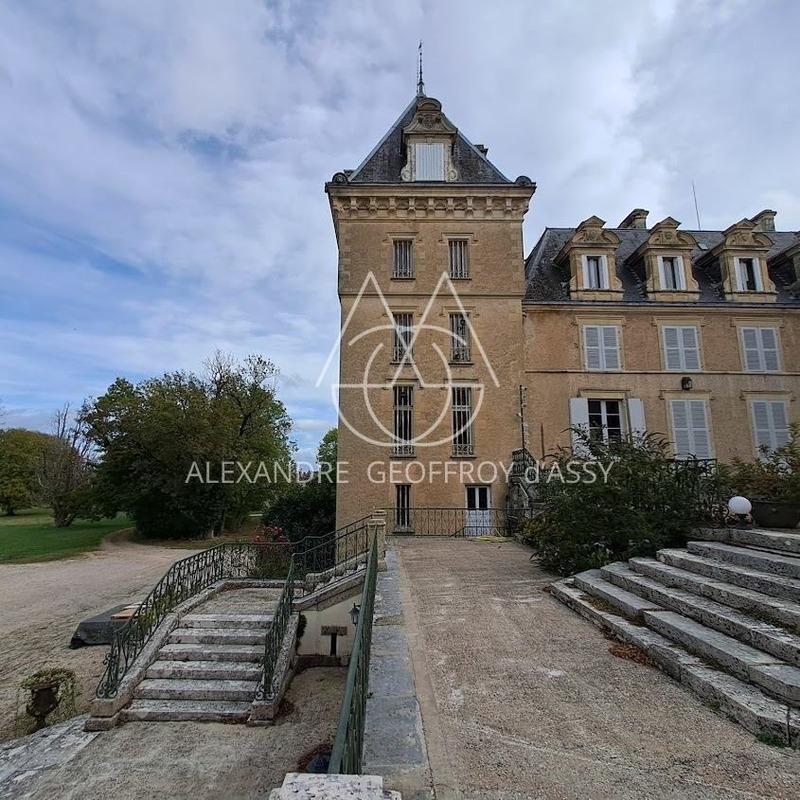 Château - 4 200 m² - 72 pièces