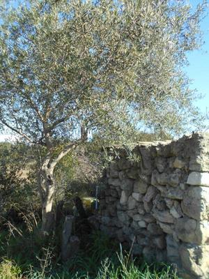 Terrain agricole - 6 270 m²