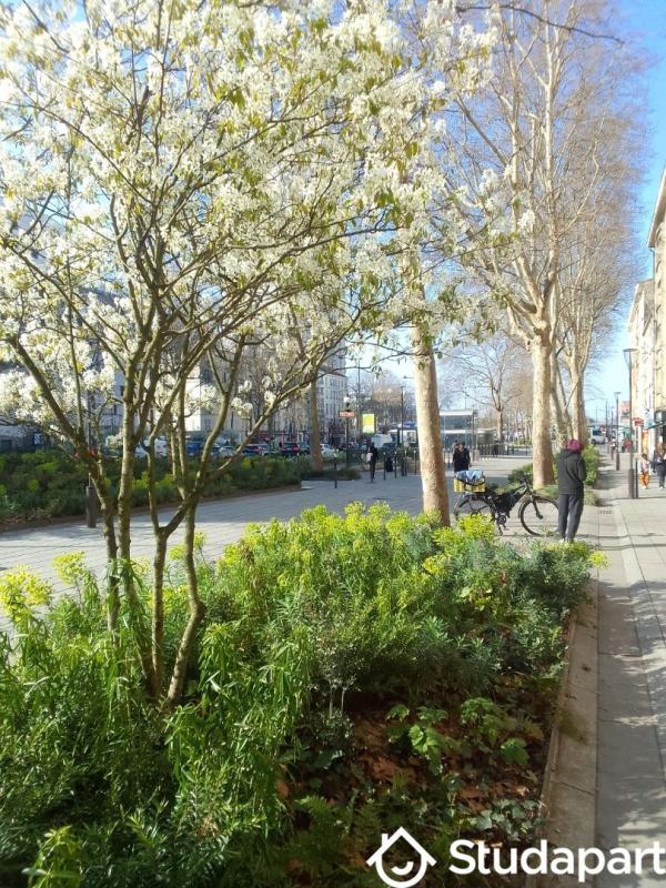 Chambre - 10 m² - 1 pièce