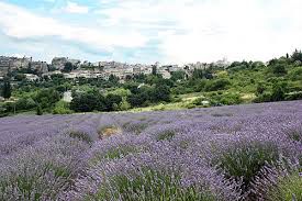 Comité Départemental du Tourisme du Vauc