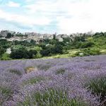 Comité Départemental du Tourisme du Vauc