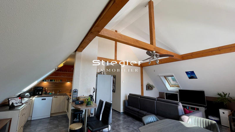 Appartement - 51 m² - 2 pièces