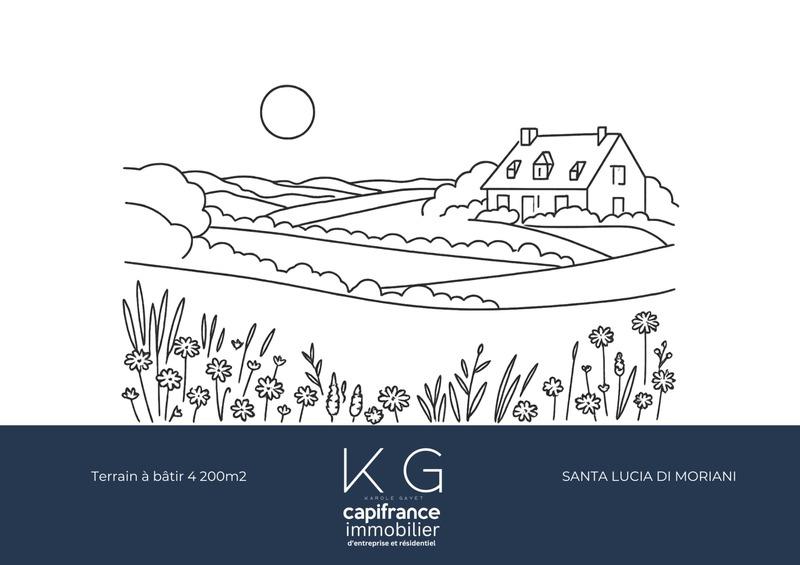 Terrain constructible - 4 208 m²