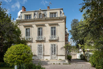 Maison chambre d'hôtes - 542 m²