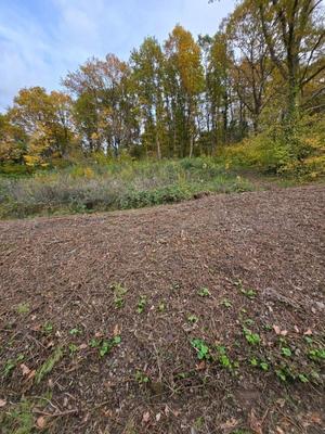 Terrain constructible - 1 861 m²