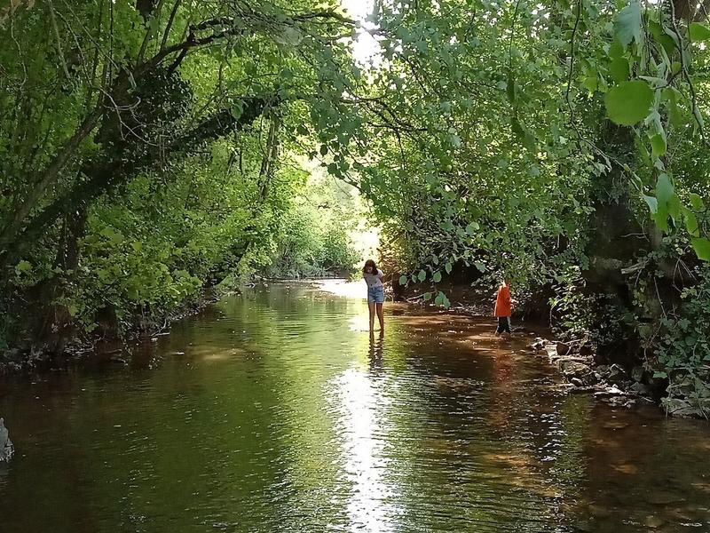 Des petites bêtes en vois-tu ? En voilà !