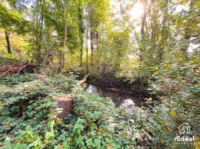 Terrain de loisirs - 6 648 m²