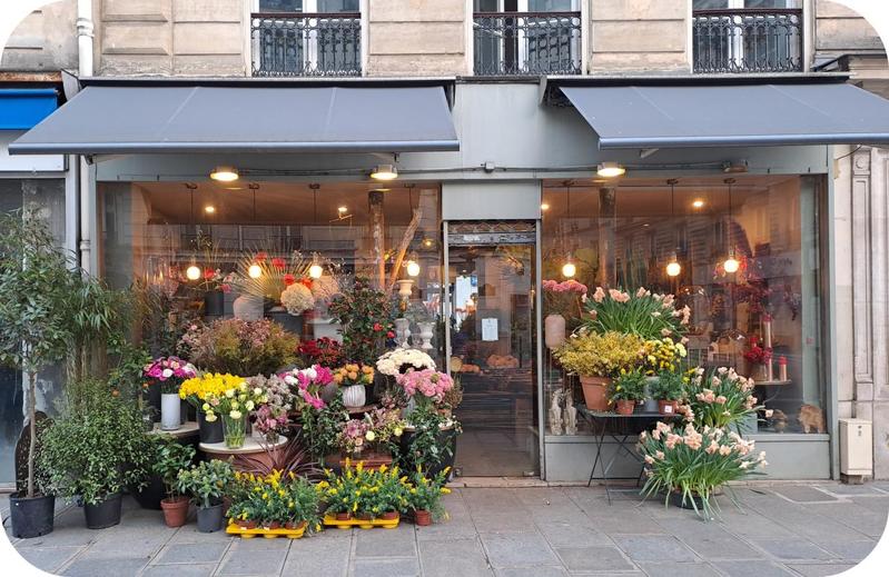 Fonds de commerce - 50 m²