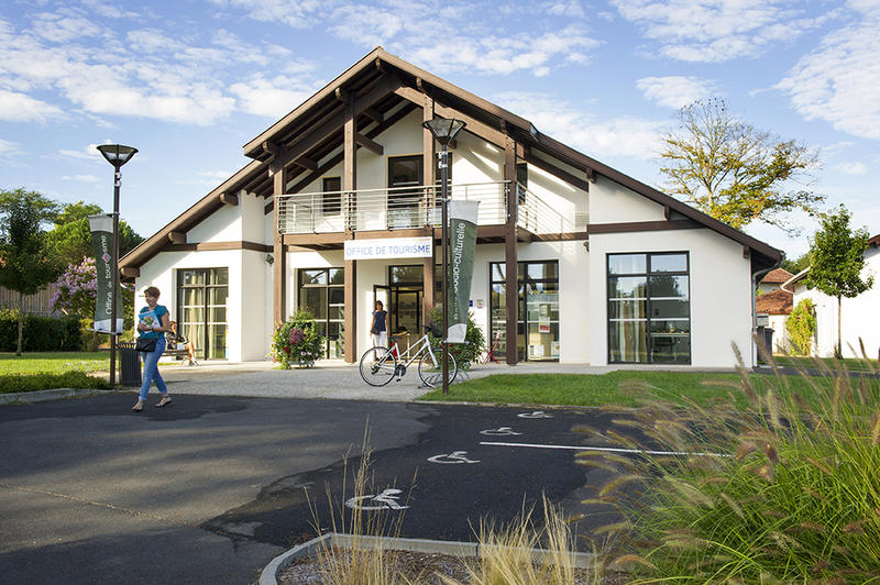 Exposition "NounOURS, de l'ours des cavernes à l'ours en peluche"