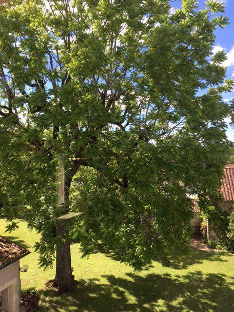 Viager - Maison ancienne - 550 m² - 12 pièces