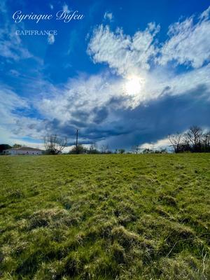 Terrain - 36 155 m²