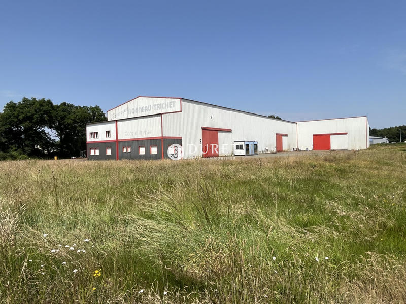 Local d'activités - 2 147 m²