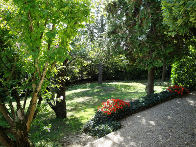 Terrain - 265 m²