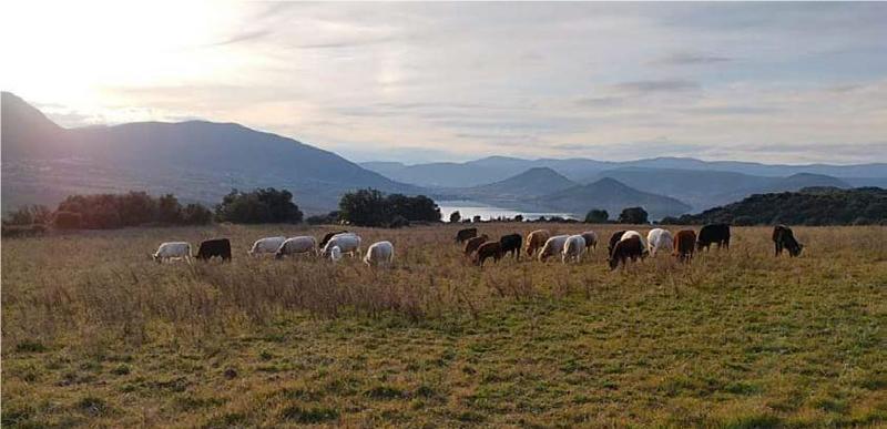 Rando Gourmande Sur les Hauteurs du Salagou