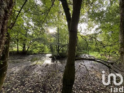 Maison - 129 m² - 6 pièces