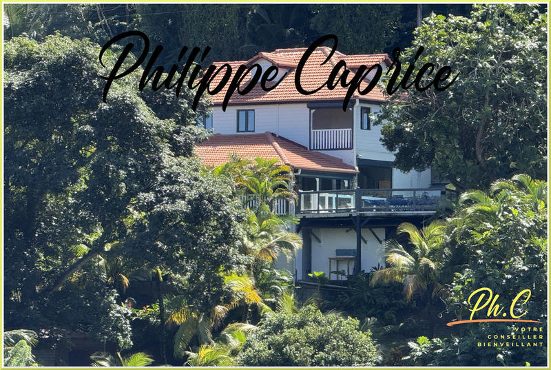 Maison - 366 m² - 8 pièces