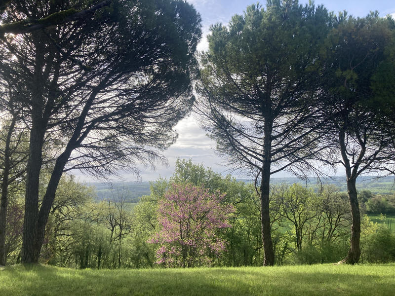 Propriété - 155 m² - 8 pièces