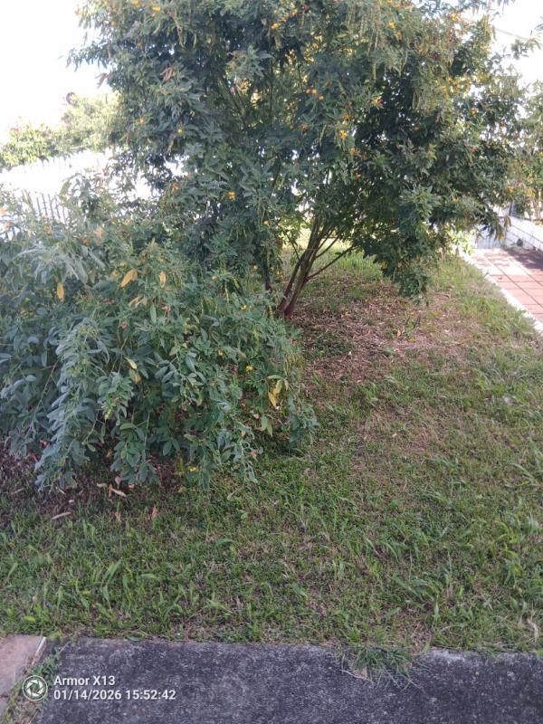 Maison - 206 m² - 4 pièces