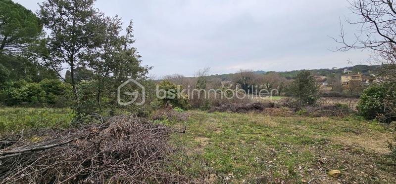 Terrain agricole - 7 256 m²