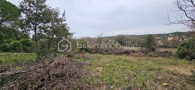 Terrain agricole - 7 256 m²