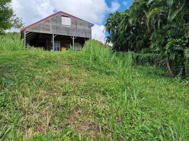 Terrain constructible - 1 215 m²