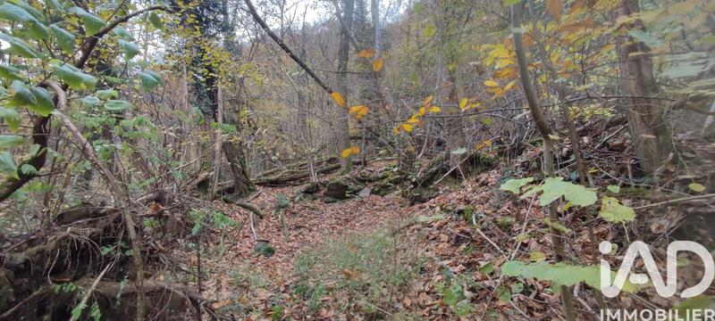 Terrain - 61 700 m²