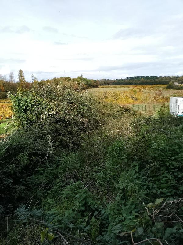 Maison - 140 m² - 1 pièce